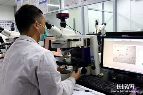 四通新材 防控生產(chǎn)雙驅(qū)動(dòng)，國(guó)內(nèi)外訂單全面恢復(fù)，新材料研發(fā)蓄力未來