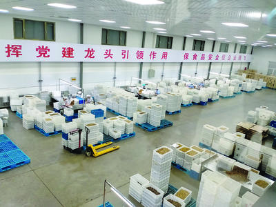 汾陽市多措并舉支持農副產品深加工，助推農業經濟提質增效