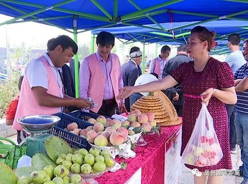 農(nóng)副產(chǎn)品促銷會 打通產(chǎn)銷對接，助力脫貧攻堅(jiān)的堅(jiān)實(shí)橋梁