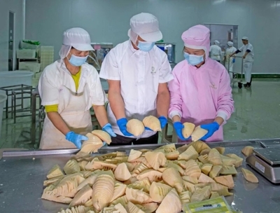 樂安:假期不停工 企業(yè)生產(chǎn)忙 農(nóng)副產(chǎn)品產(chǎn)業(yè)鏈蓄勢賦能