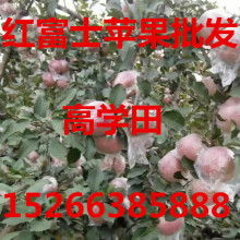 宏源農副產品購銷處 打造優質農副產品供應鏈的橋梁